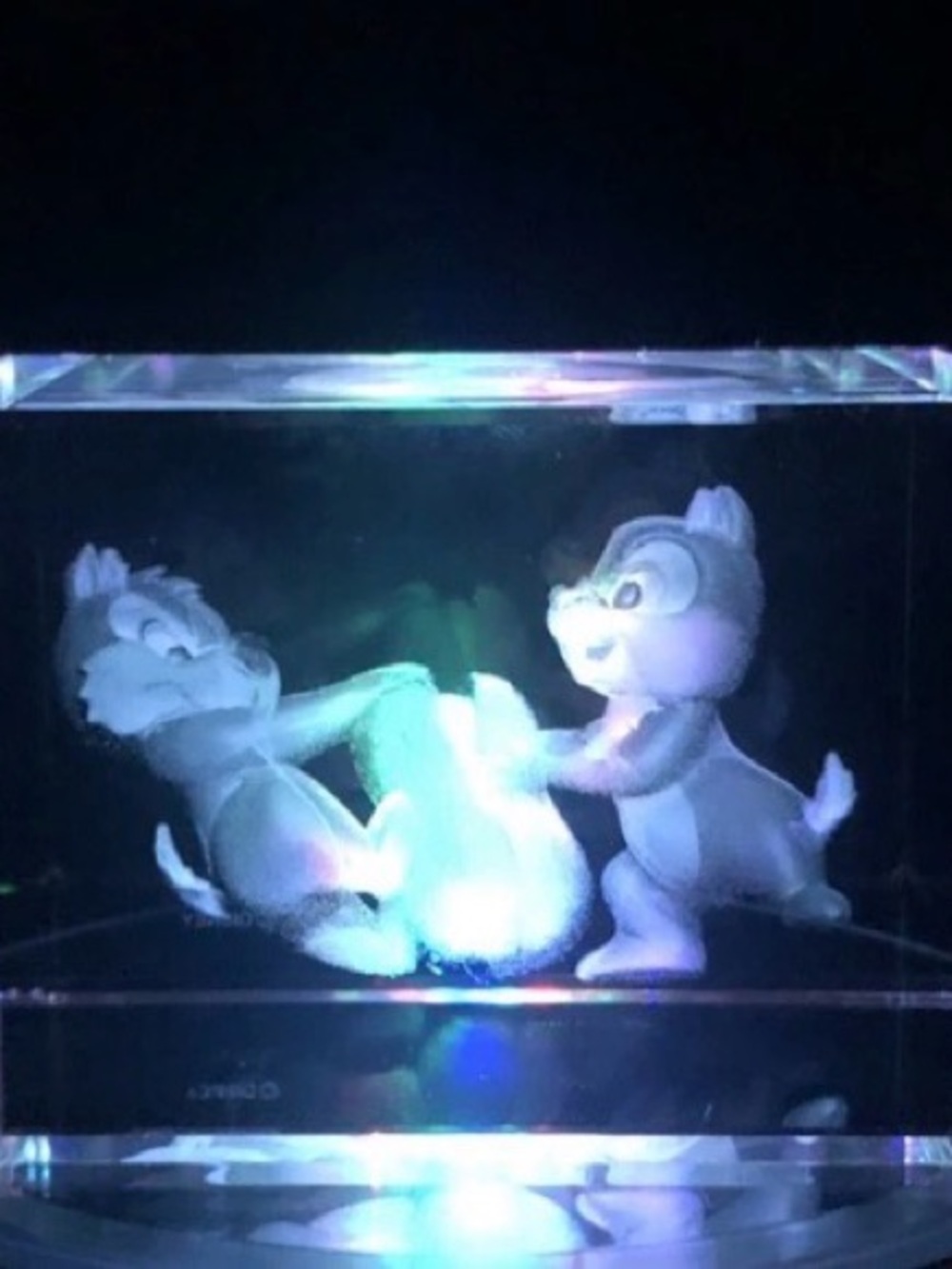 🐻  Chip & Dale 
HOLOGRAPHIC Acrylic CUBE 🐹